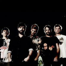 Foals
