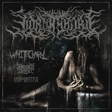 Lorna Shore