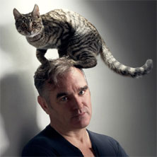 Morrissey