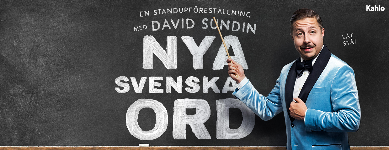 David Sundin Nya Svenska Ord